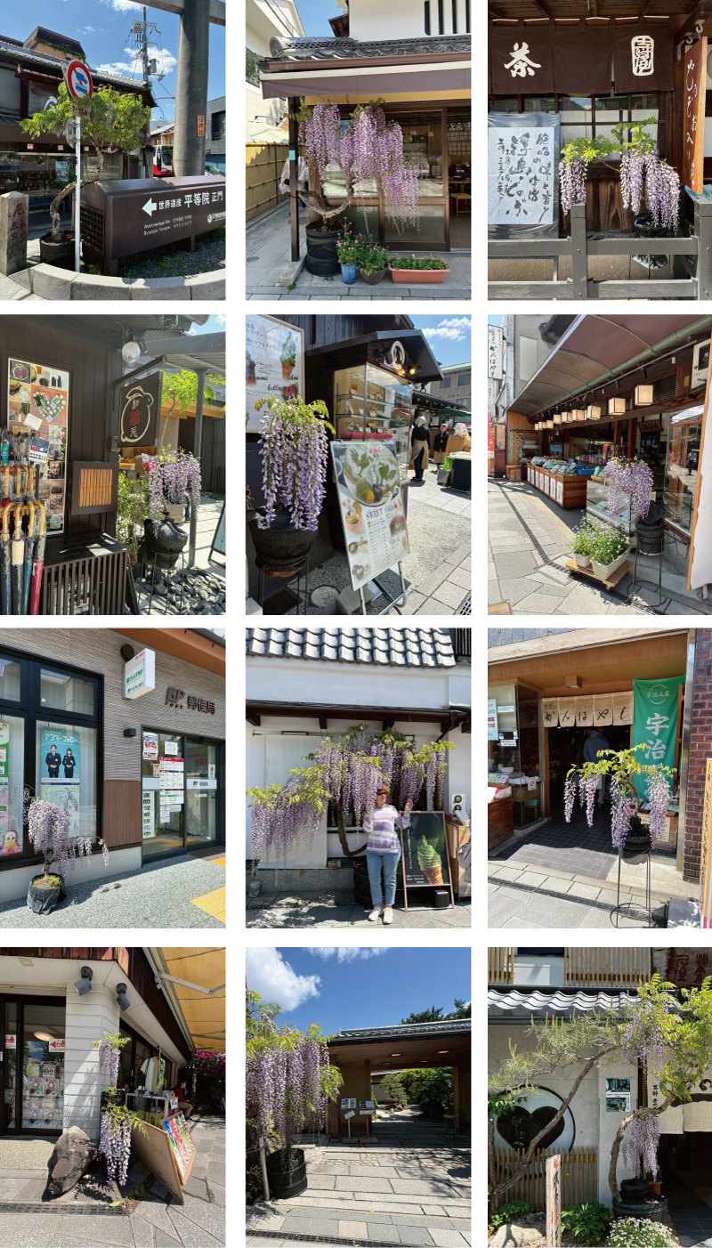 平等院表参道 : 宇治浪漫・茶の香ただよう歴史道